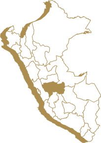 Exceptional coffees from Peru's Selva Central