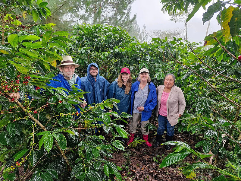 Exceptional coffees from Peru's Selva Central